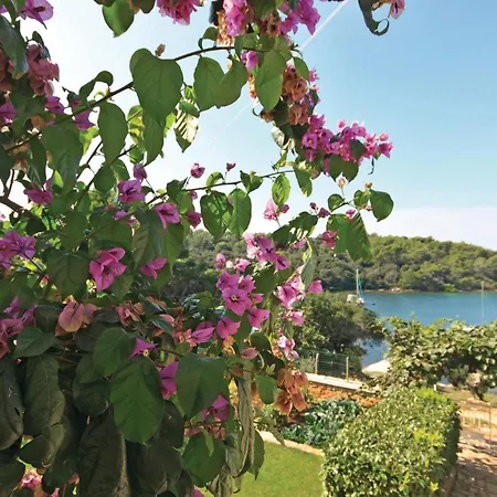 Kastanjez Iv Cr Appartamento Pola