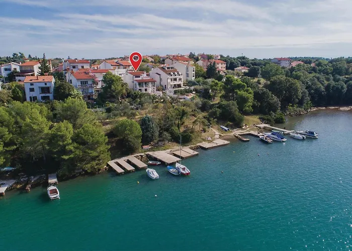 Kastanjez Iv Cr * 풀라