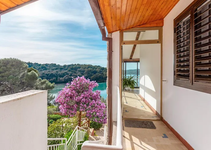 Kastanjez Iv Cr 아파트 풀라