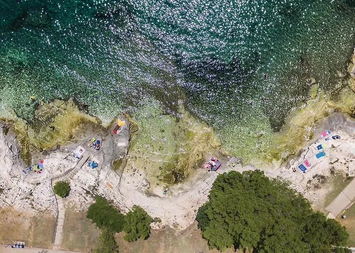 아파트 Kastanjez Iv Cr