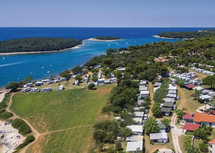 Kastanjez Iv Cr 풀라