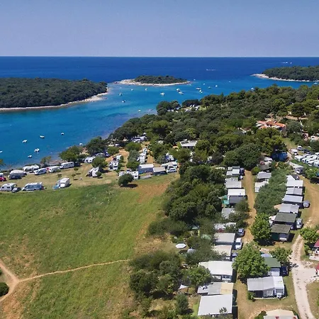 Kastanjez Iv Cr Pula